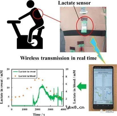 可穿戴微流控传感器可解决气泡干扰问题