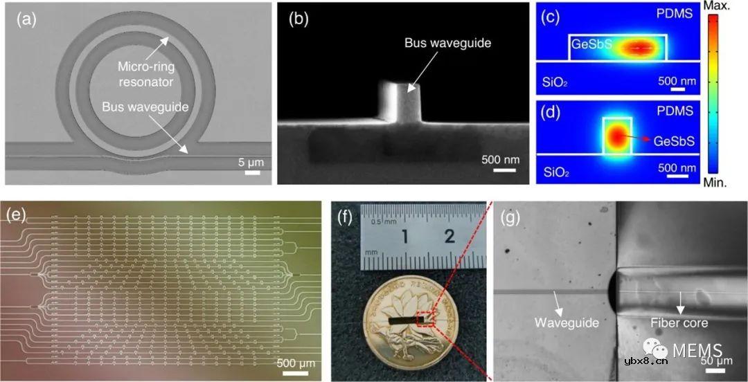 并行询问的微环传感器阵列用于光声层析成像
