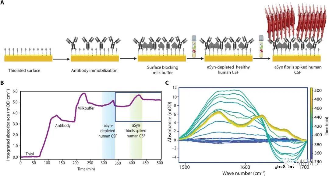 一种免疫分析耦合的纳米等离子体红外超构表面传感器