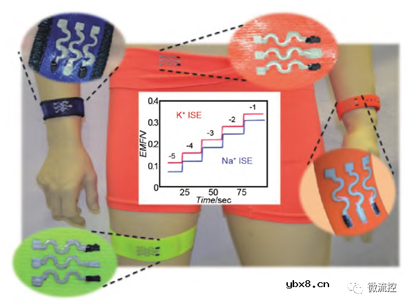 可穿戴生物电化学传感器的研究与应用进展综述