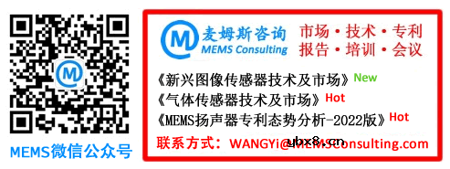 用于穿戴式运动捕捉的差分式柔性应变传感器