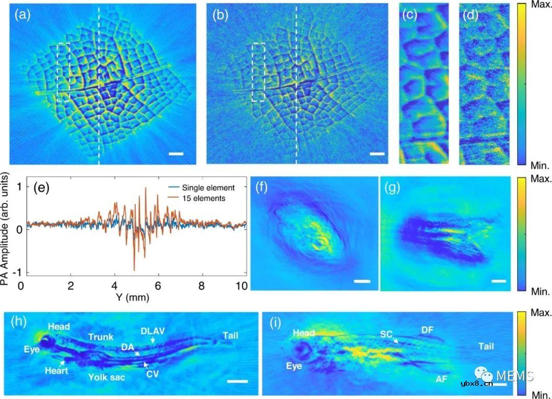 并行询问的微环传感器阵列用于光声层析成像