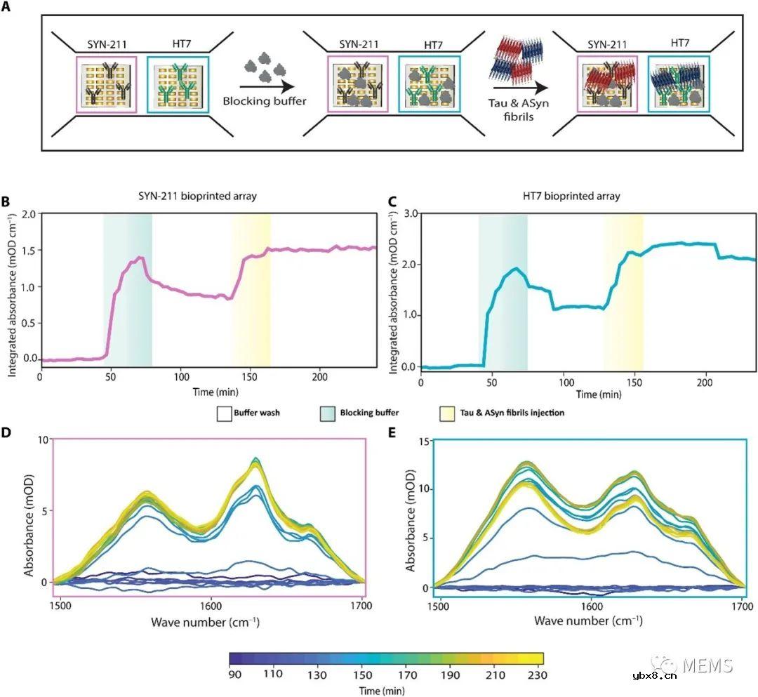 一种免疫分析耦合的纳米等离子体红外超构表面传感器
