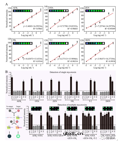 集成信号转导及增强机制的微流控生物传感器用于检测多种真菌毒素