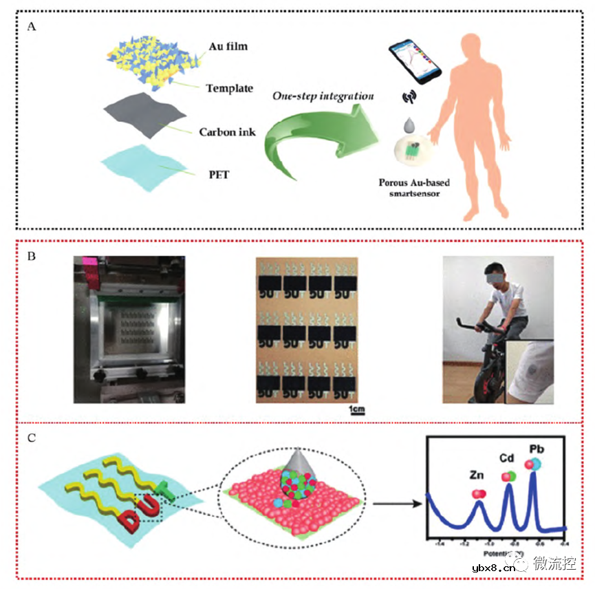 可穿戴生物电化学传感器的研究与应用进展综述