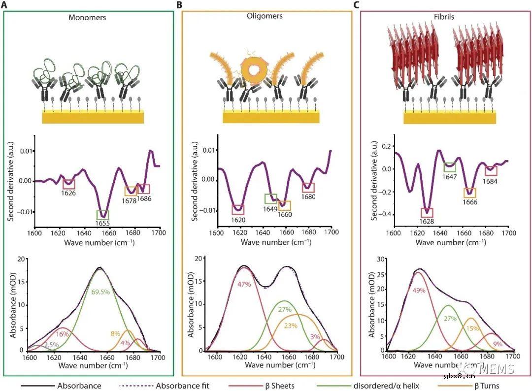 一种免疫分析耦合的纳米等离子体红外超构表面传感器