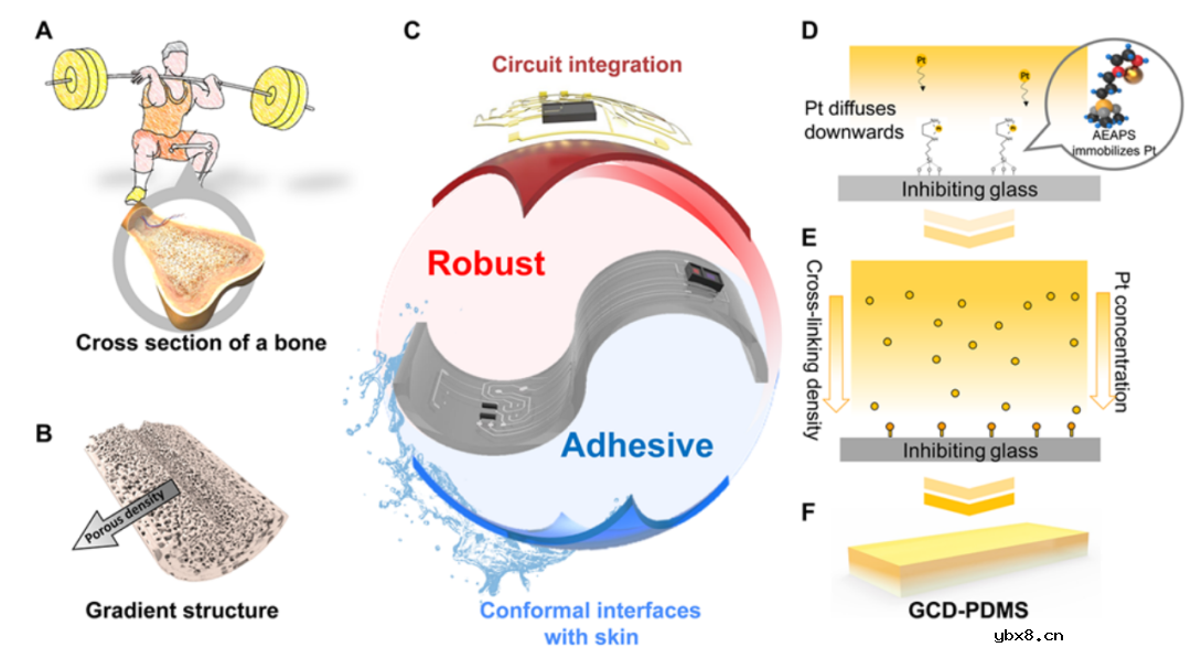 小型化表皮生物传感器用于术后血运状态持续监测