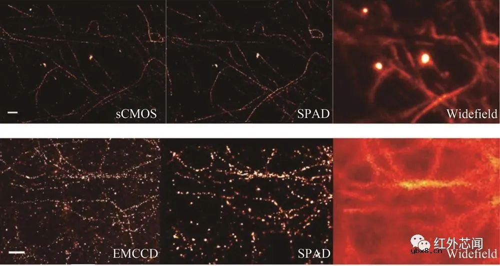 基于单光子雪崩二极管阵列的成像技术研究进展