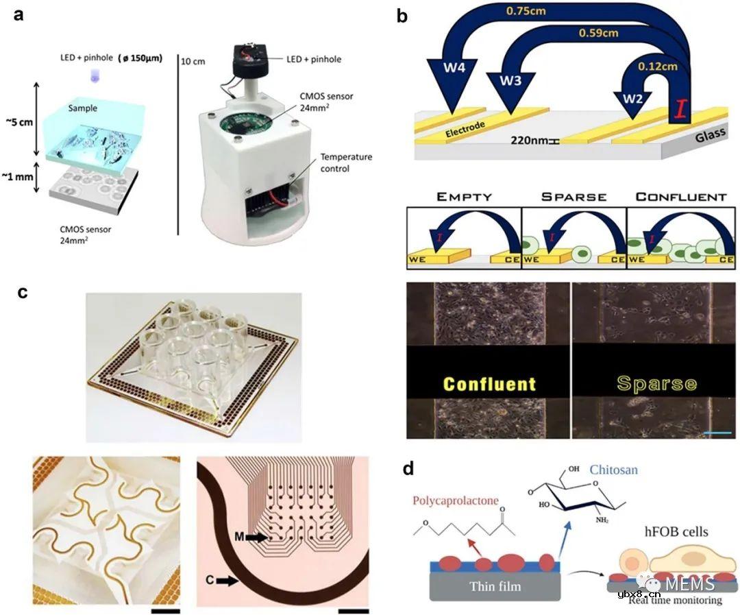 用于细胞培养监测的传感器研究进展