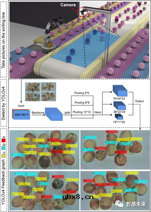 基于柔性传感的鲜桃分拣流水线的系统设计