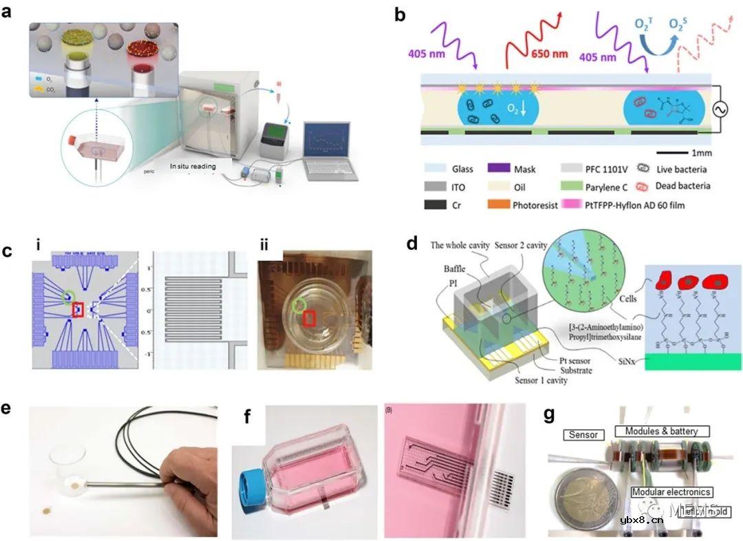 用于细胞培养监测的传感器研究进展