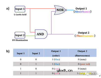 面向运动健康检测的柔性可穿戴手性逻辑门传感器