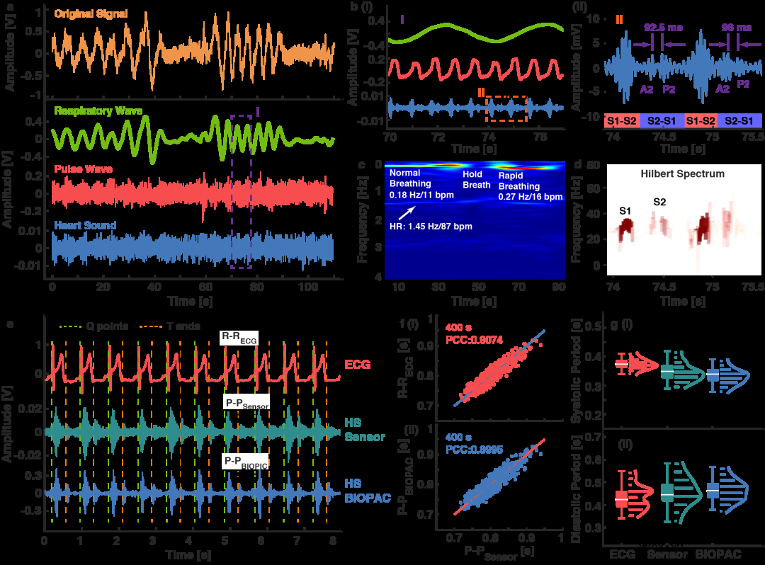 用于聆听身体的声音的可穿戴压电式柔性传感贴片
