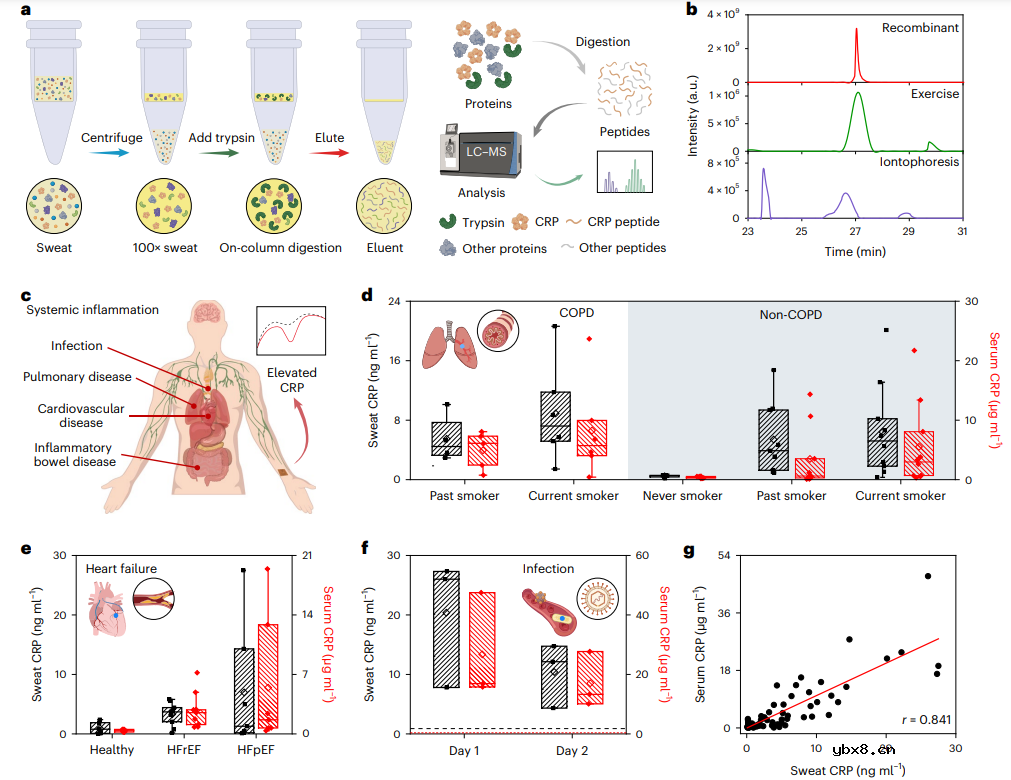 可穿戴电化学传感器监测汗液中代谢和营养物质的方法