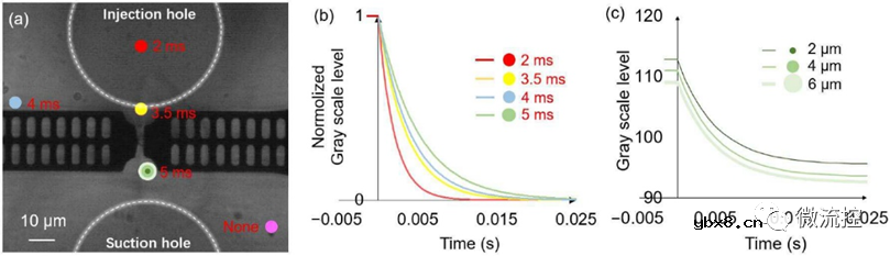 一种用于测量单细胞瞬态响应的封闭式微流控芯片