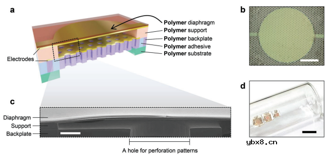 介绍一种可贴附在皮肤上的声学传感器