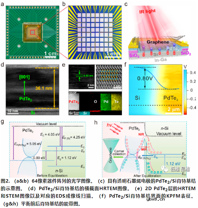 芯片集成的低温生长2D PdTe2狄拉克半金属实现非制冷中红外传感