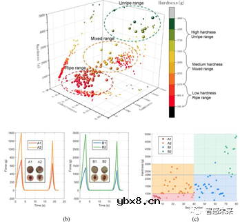 基于柔性传感的鲜桃分拣流水线的系统设计