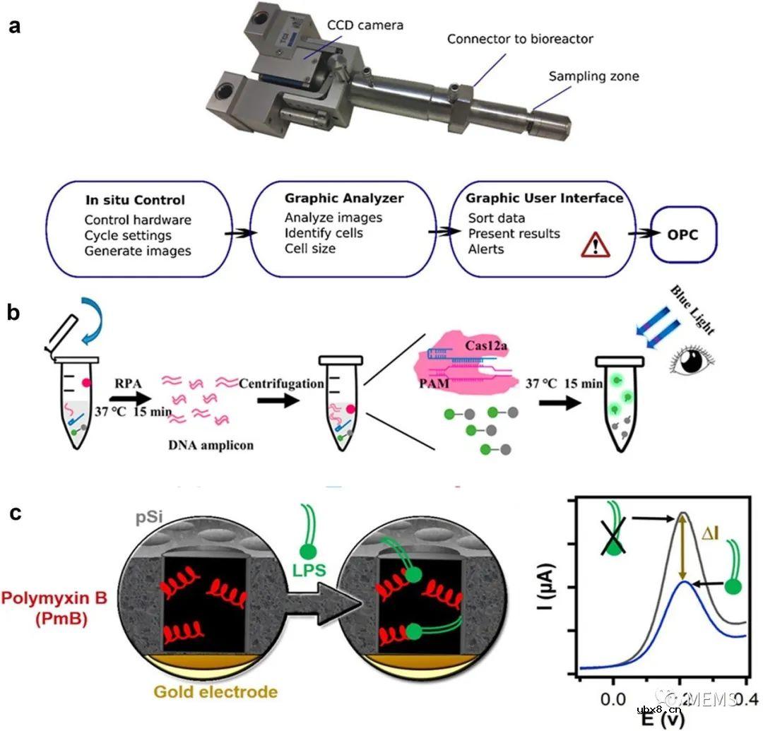 用于细胞培养监测的传感器研究进展