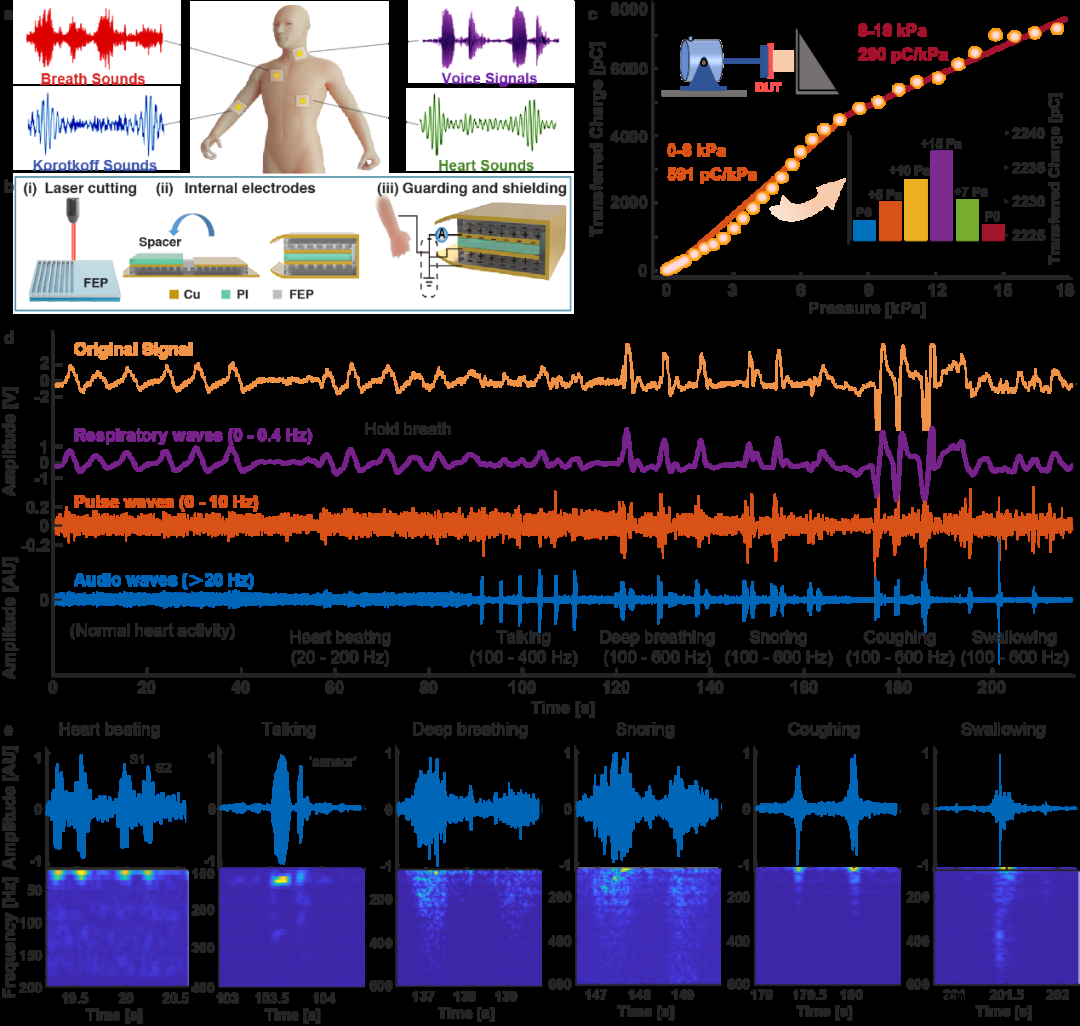 用于聆听身体的声音的可穿戴压电式柔性传感贴片