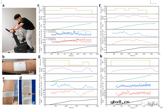 如何利用织物嵌入式微流控传感器监测汗液电解质浓度和出汗速度