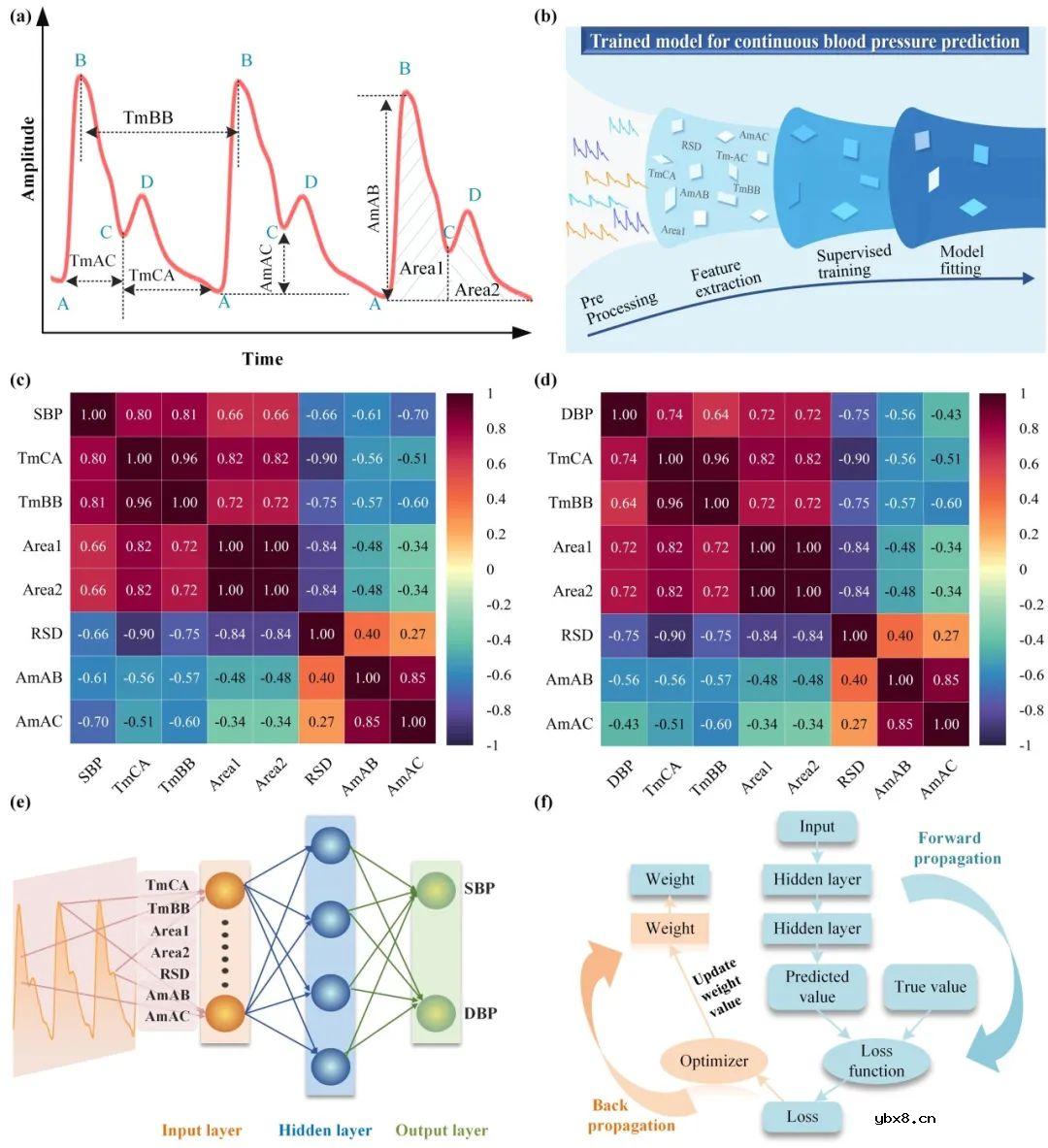 用于全天候动态血压监测的光纤智能手环