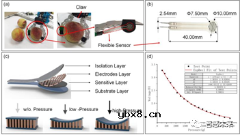 基于柔性传感的鲜桃分拣流水线的系统设计