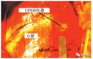 基于PZT的压电触觉传感器的研究进展综述