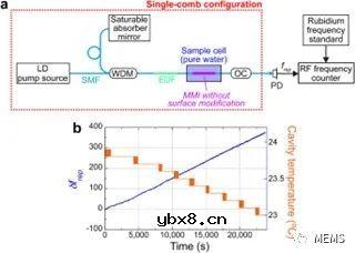 基于双光学频率梳的生物传感器实现生物分子检测