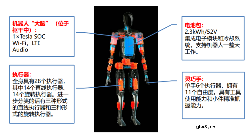 三星入局？人形机器人浪潮席卷之下，谁能脱颖而出？