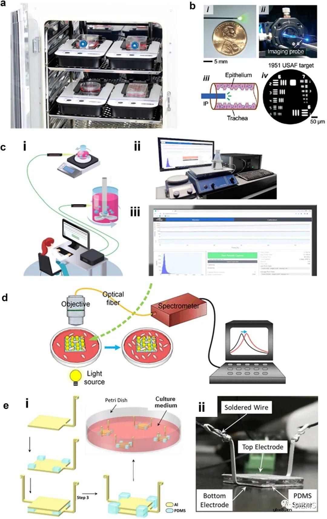 用于细胞培养监测的传感器研究进展
