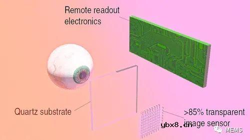 一种透明图像传感器：石墨烯和量子点赋能未来