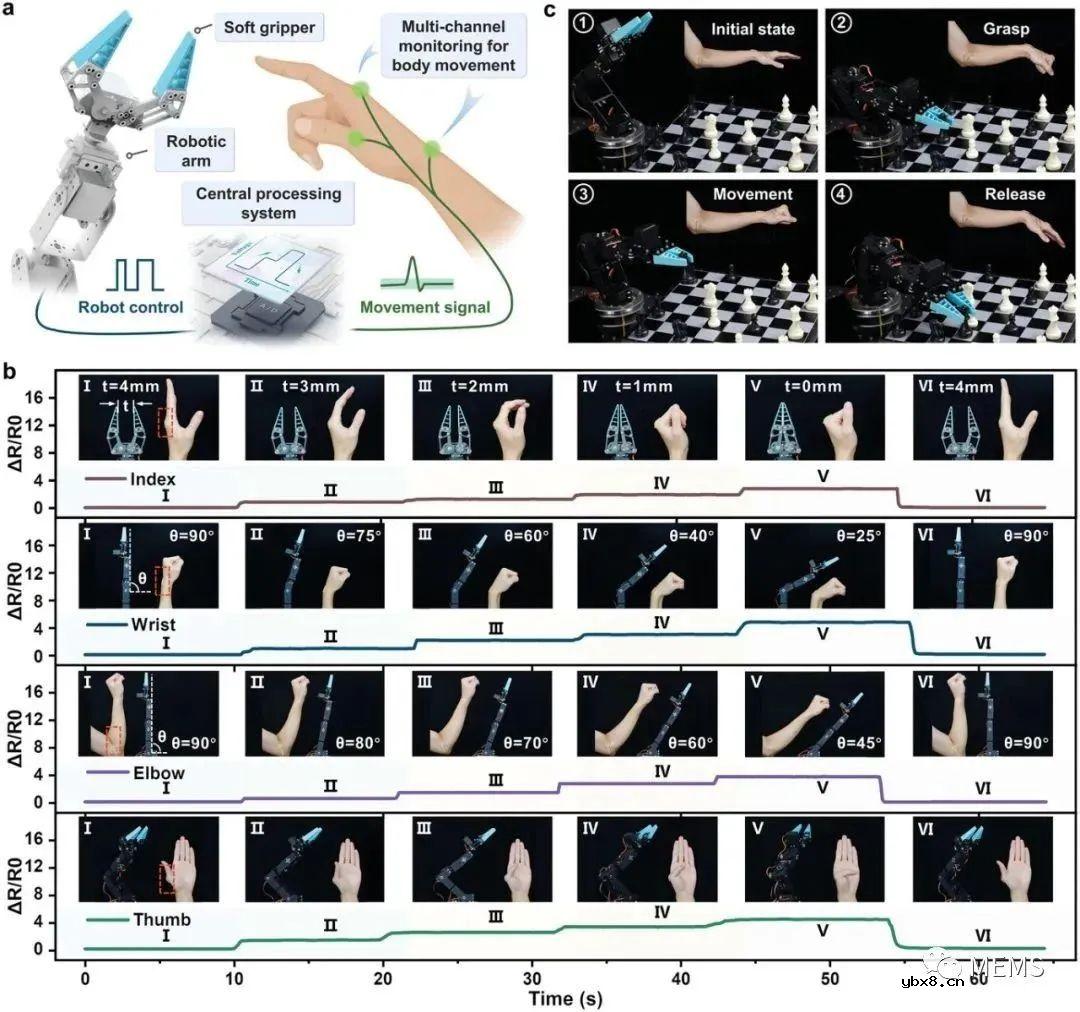 具有弯曲宏观裂纹的多功能水凝胶传感器