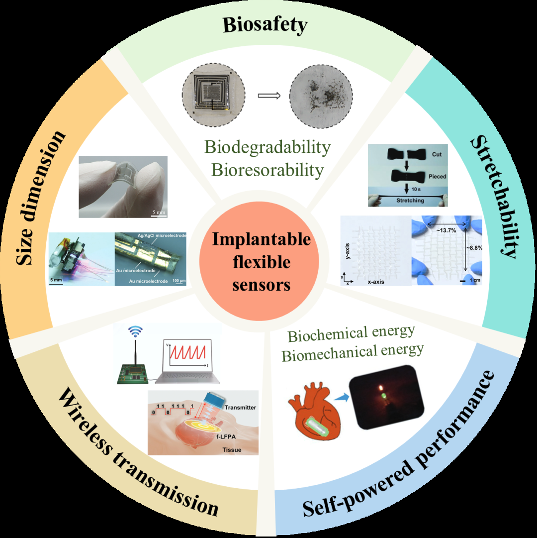 用于健康监测的植入式柔性传感器