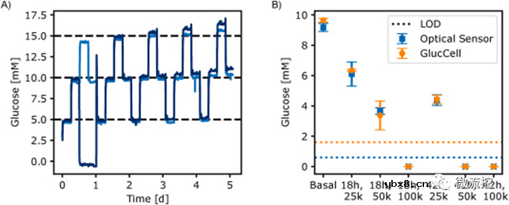 一种用于微流控系统内葡萄糖浓度测量的酶促光学式葡萄糖传感器