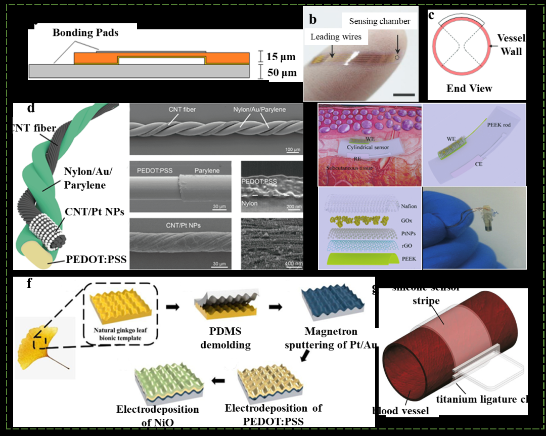 用于健康监测的植入式柔性传感器