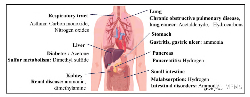 基于人体呼气检测应用的气体传感器
