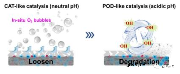 新型3D介孔生物传感膜提高葡萄糖生物传感区域面积
