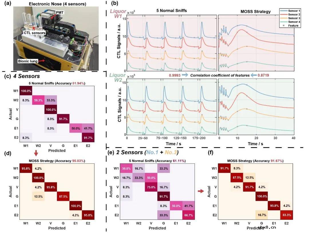 清华大学在电子鼻传感器仿生嗅闻方向取得新进展