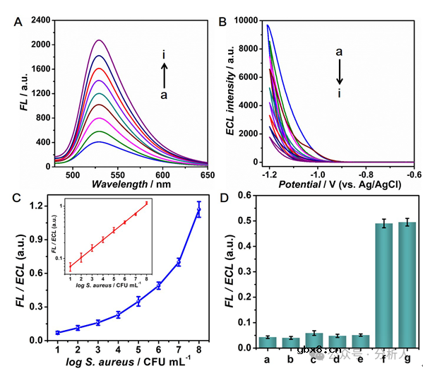 基于荧光和电致化学发光双模式的生物传感器，用于金黄色葡萄球菌的检测与灭活