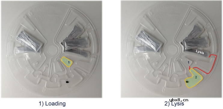 集成磁珠法核酸提取的离心微流控芯片介绍