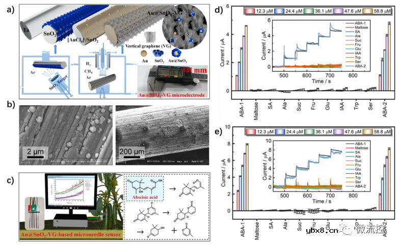 微针技术在农业领域的应用研究进展综述