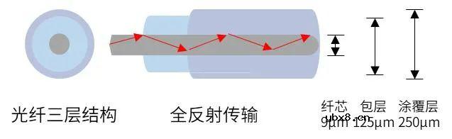 光纤为何不能过度弯曲？如何减小弯曲损耗？