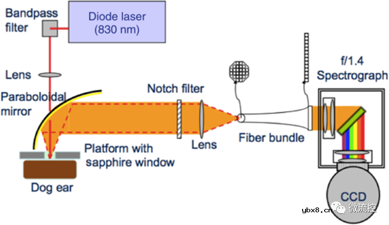 微创及无创血糖检测方法研究现状综述