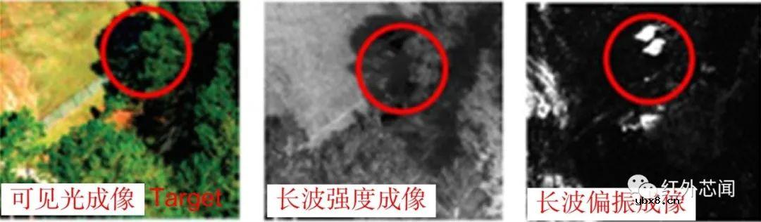 偏振集成红外光电探测器研究进展与应用