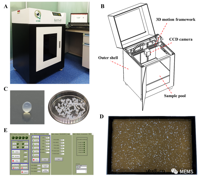 用于芳香族污染物高效检测的生物传感器