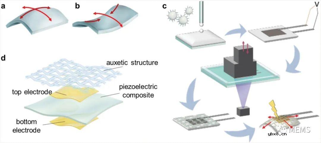 在基于聚合物薄膜的PENG上3D打印负泊松比