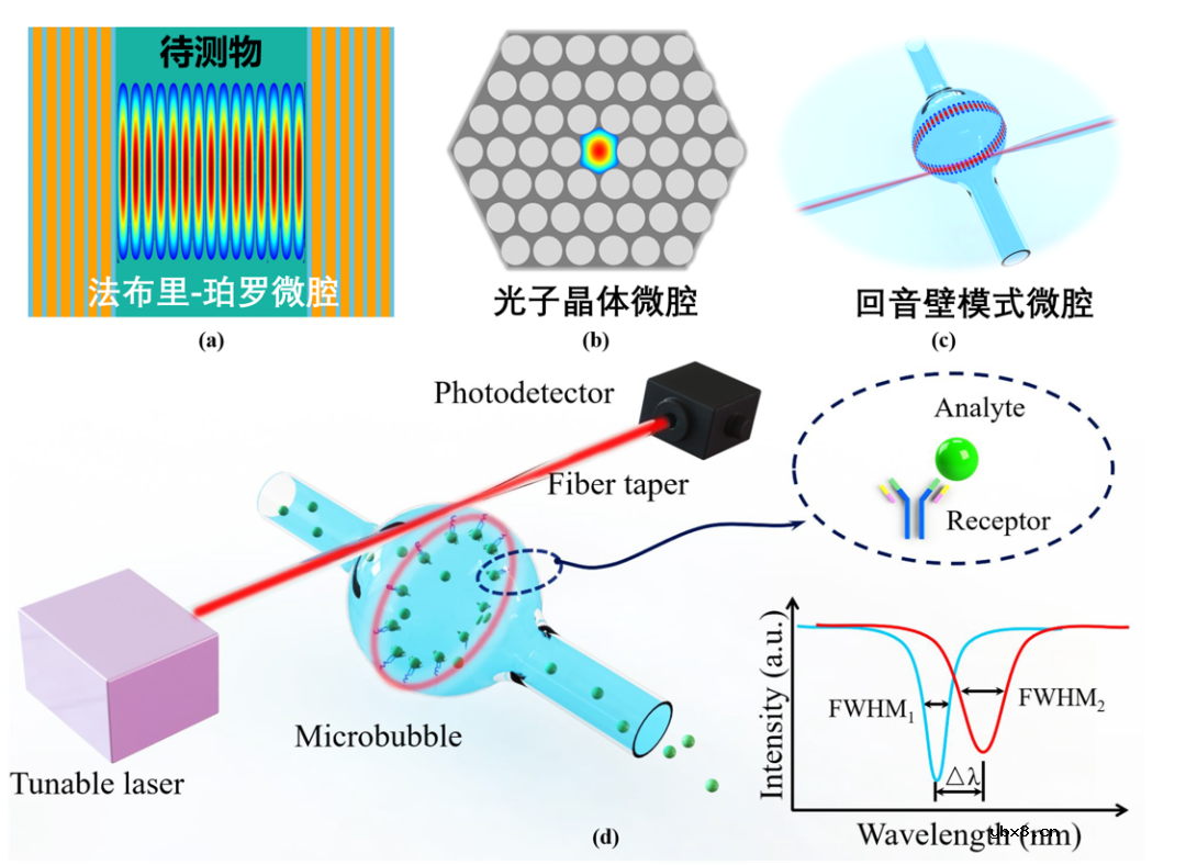 F-P型光流控微腔生物传感器实现超低浓度分子构象变化过程检测