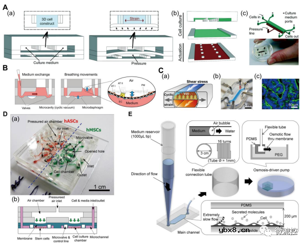 智能器官芯片系统在原位生物分析中的应用综述