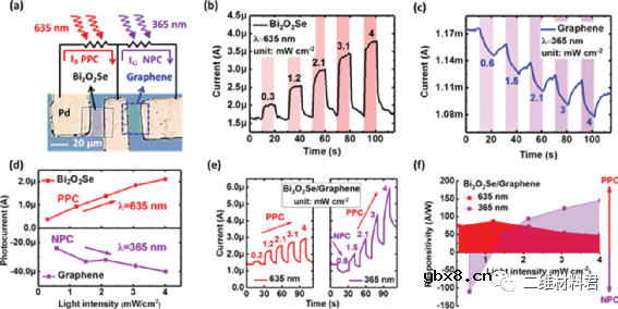 2D Bi2O2Se-石墨烯混合结构实现双向全光突触助力多功能光电子学